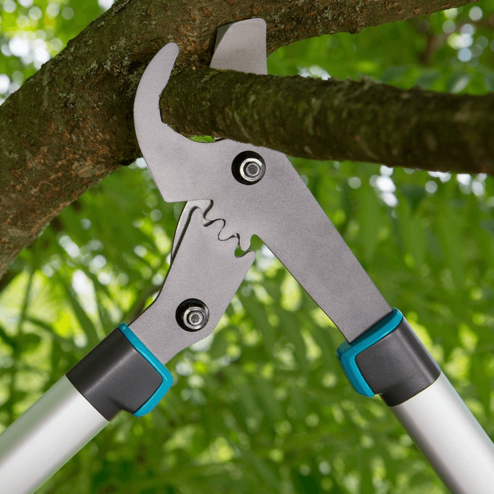 Pruning Lopper EnergyCut 750 A pruning branch